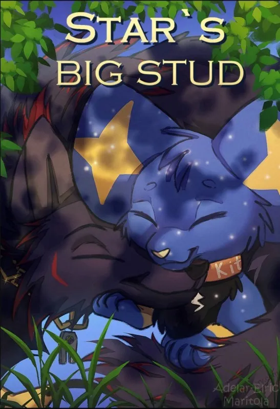 Star's Big Stud porno comics Cover