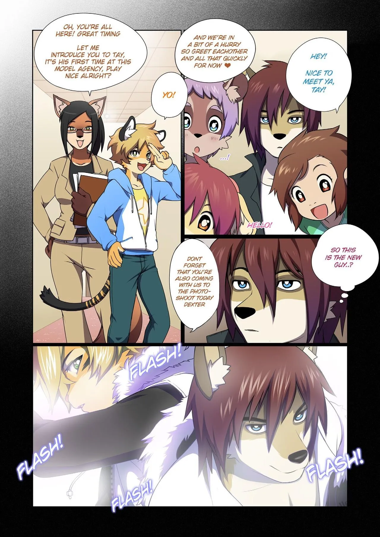 Page 3