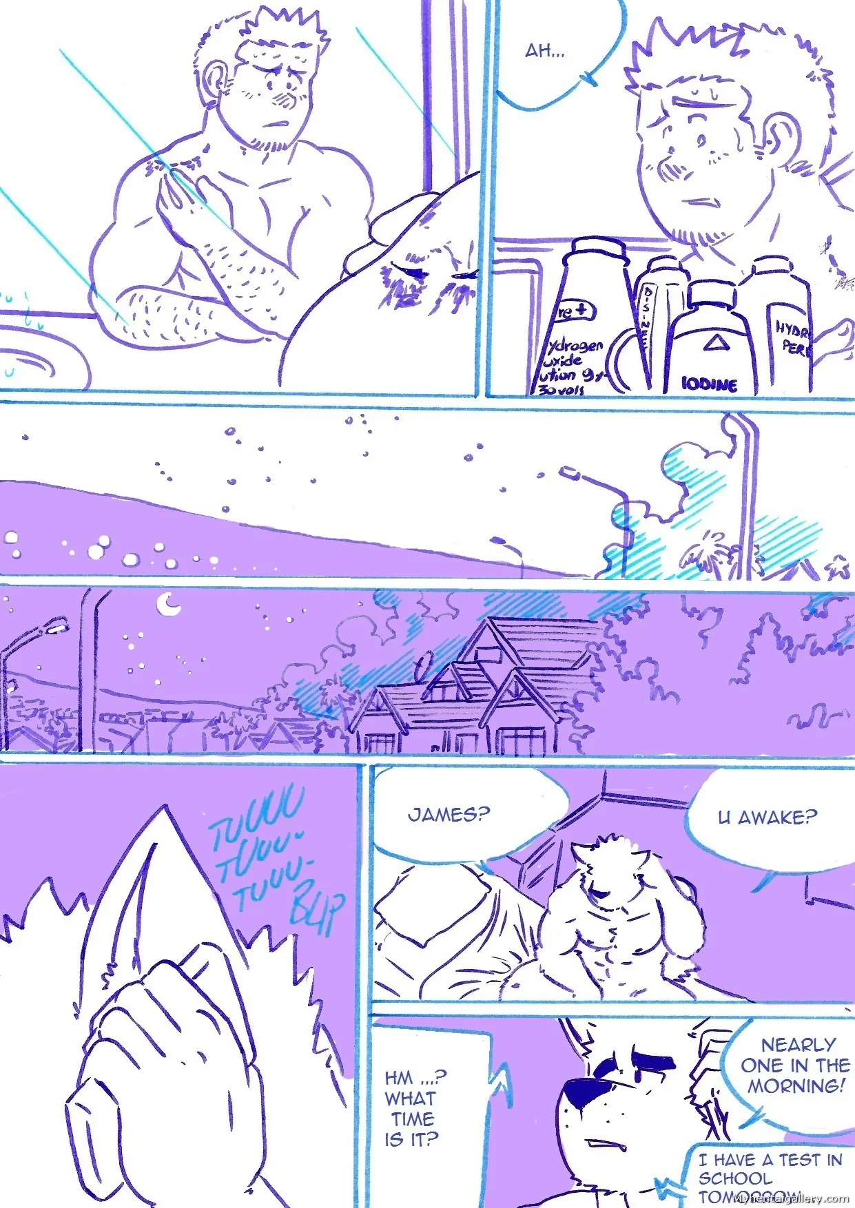 Page 3