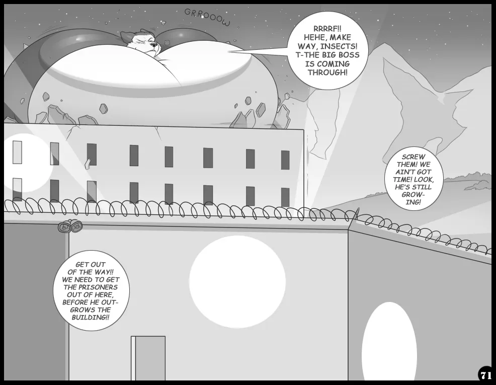 Page 71