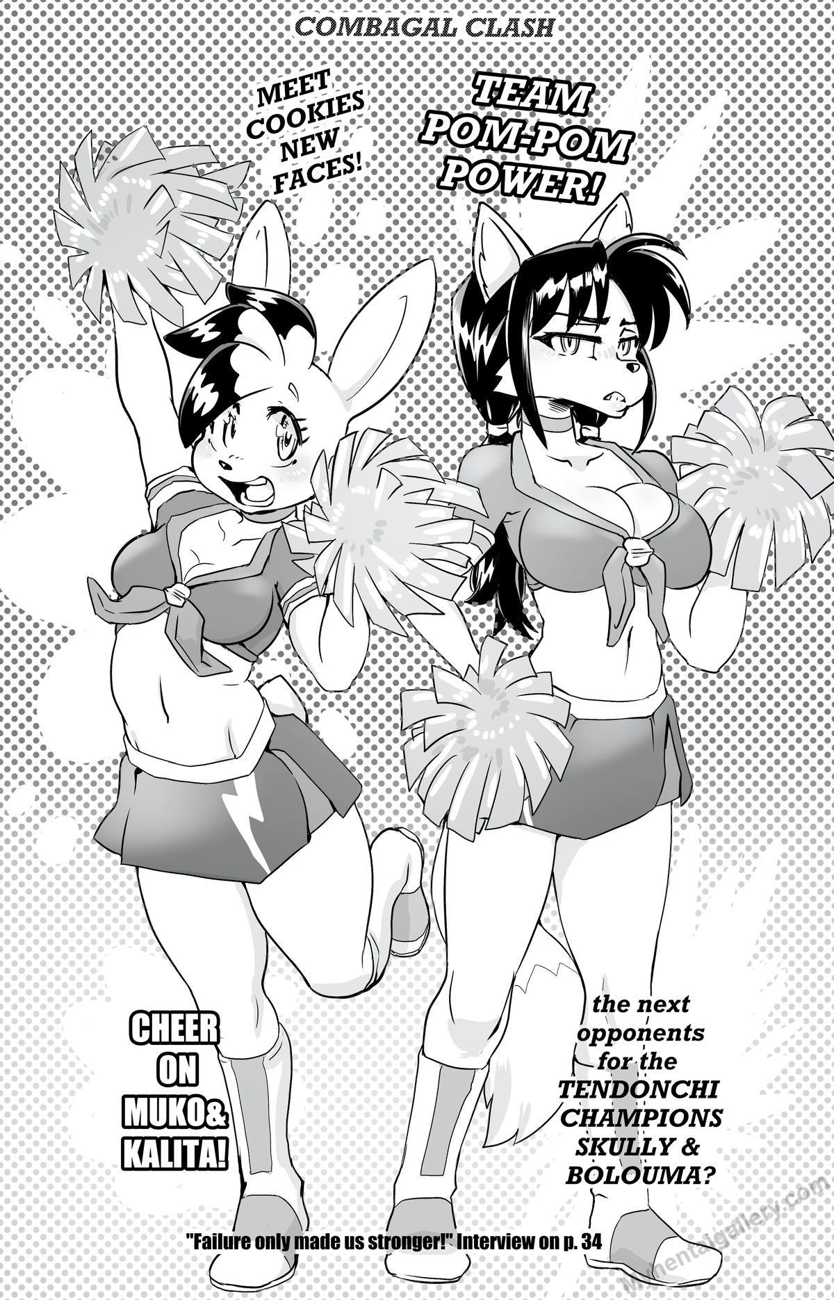 Furry Fight Chronicles 30 - Facades porno comics