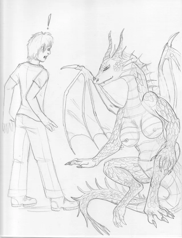 The Dragon's Mate porno comics Cover