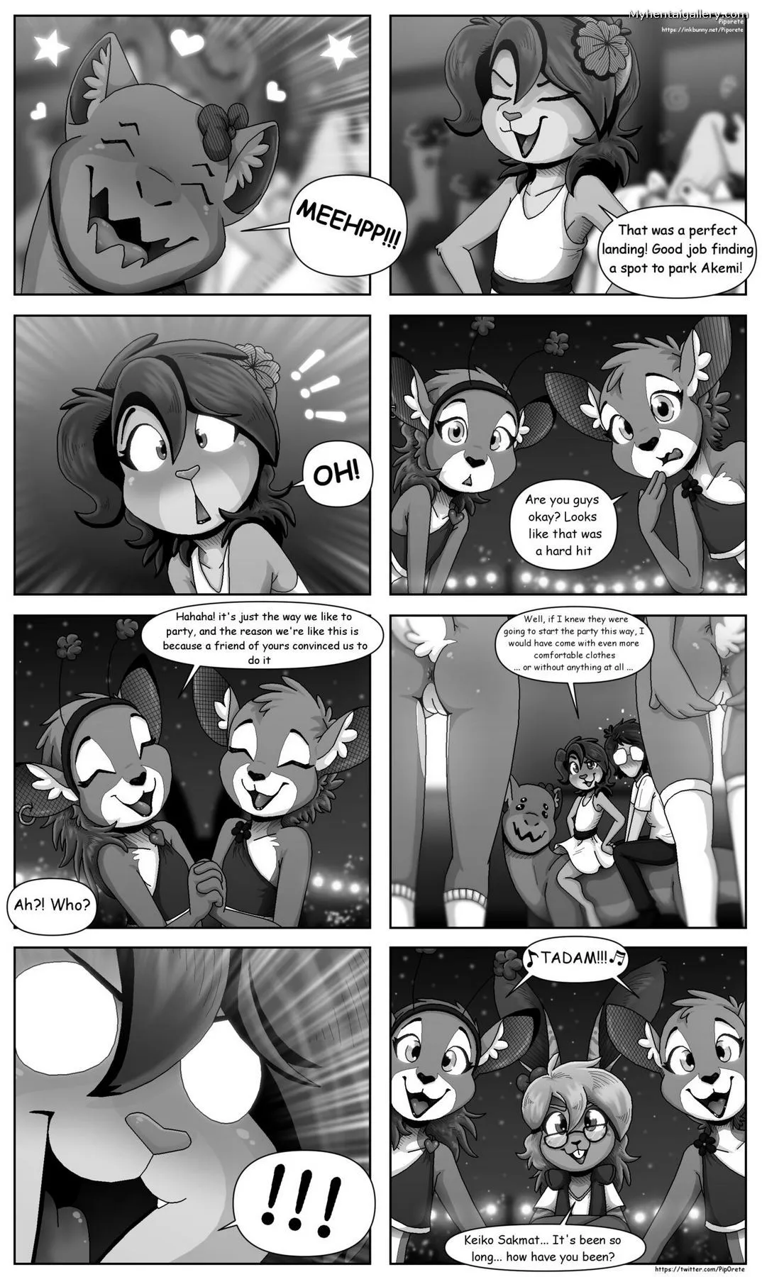 Page 41
