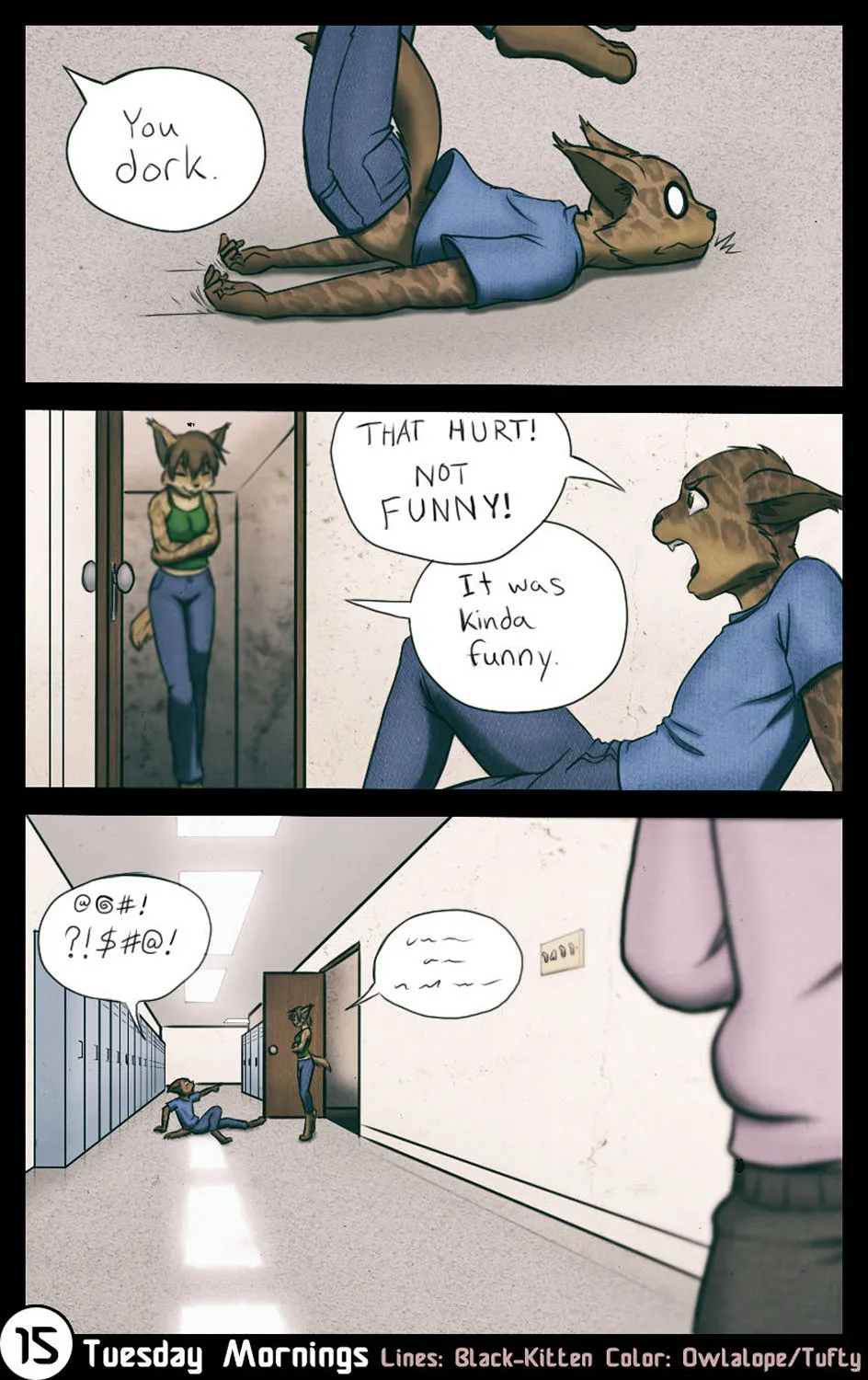Page 15