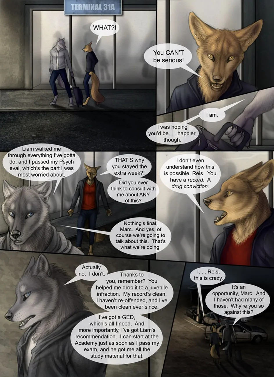 Page 41