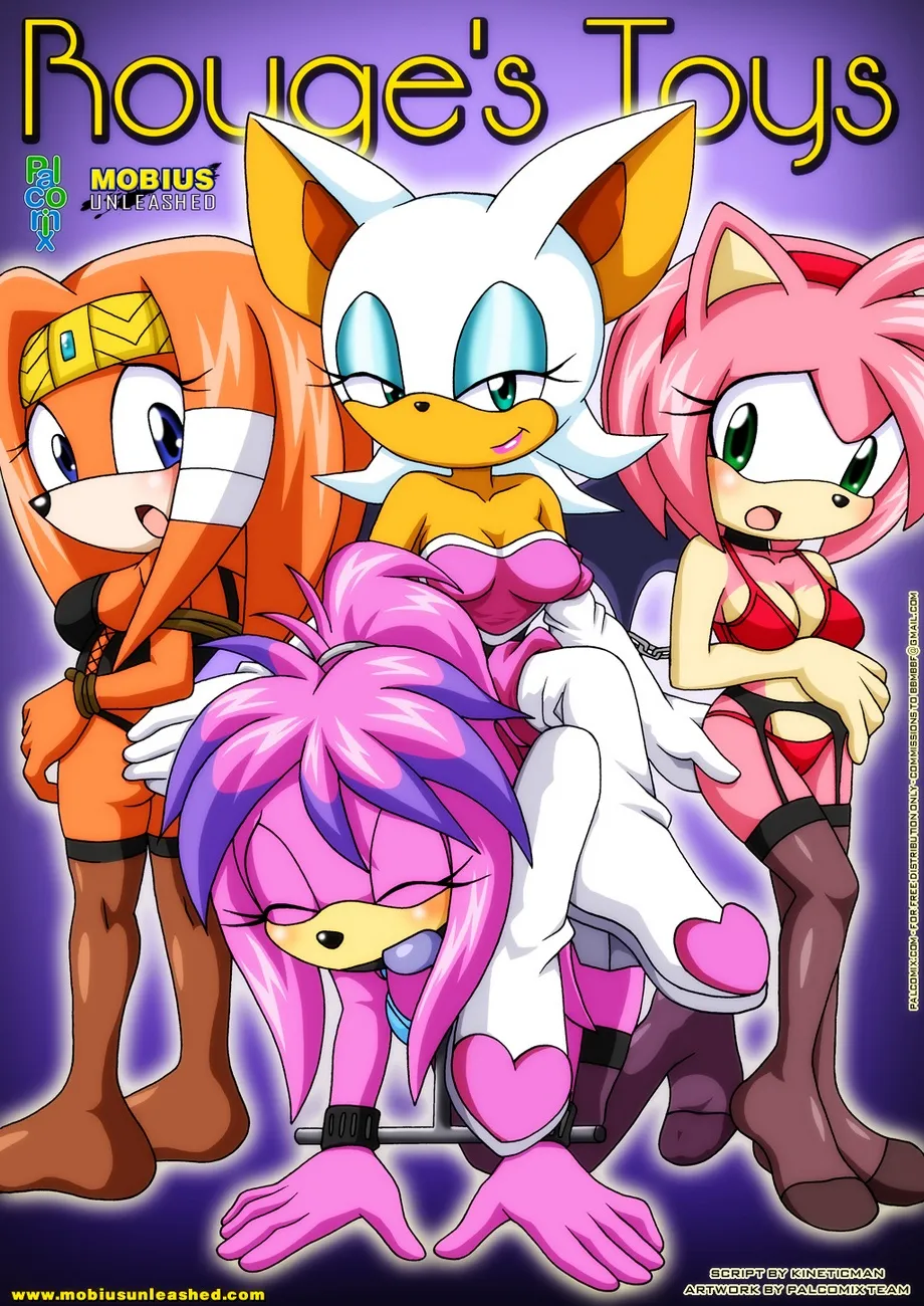 Rouge's Toys 1 porno comics Cover