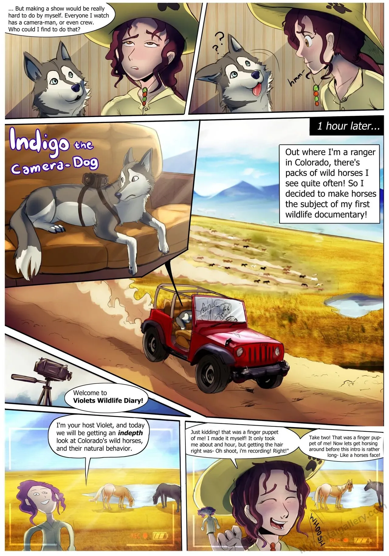 Page 3