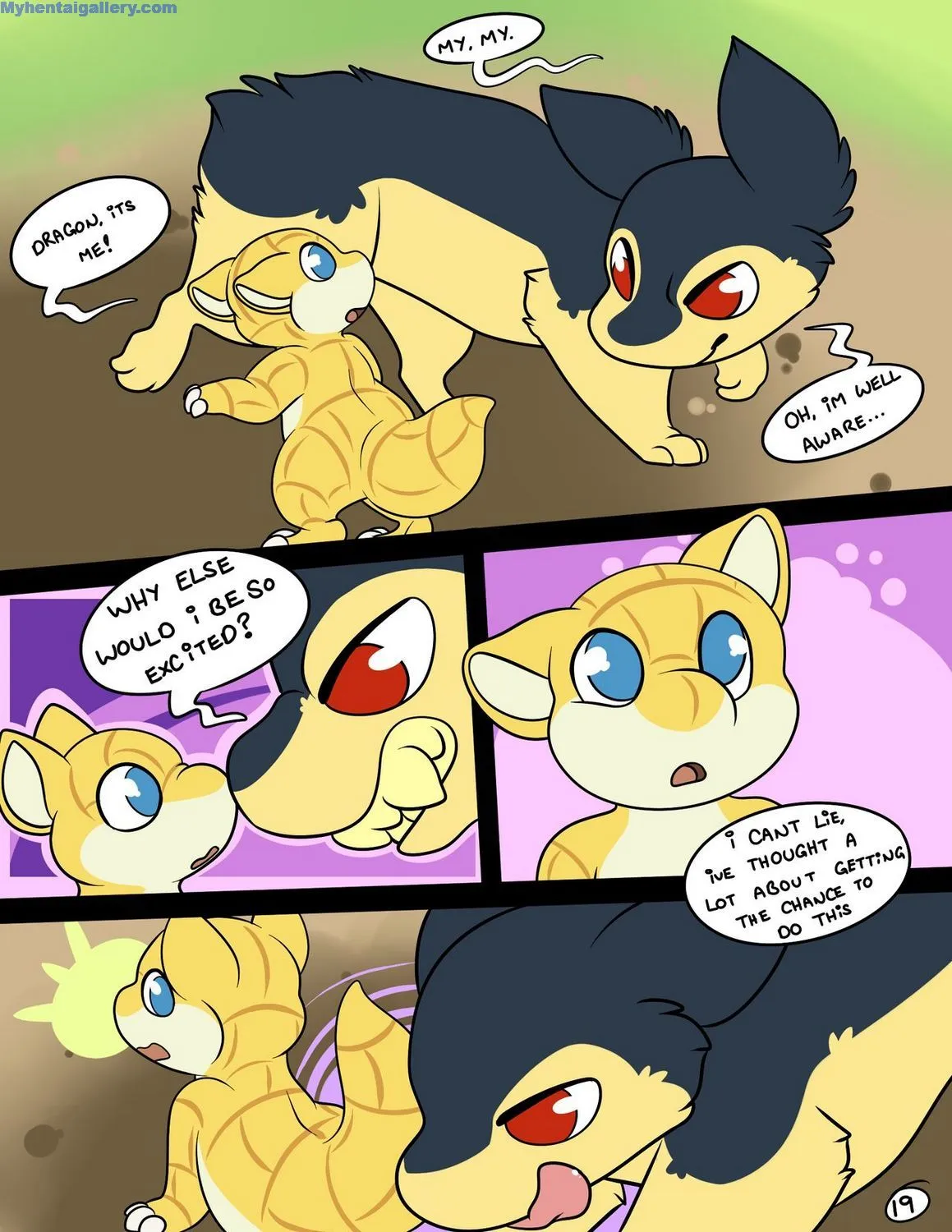 Page 19
