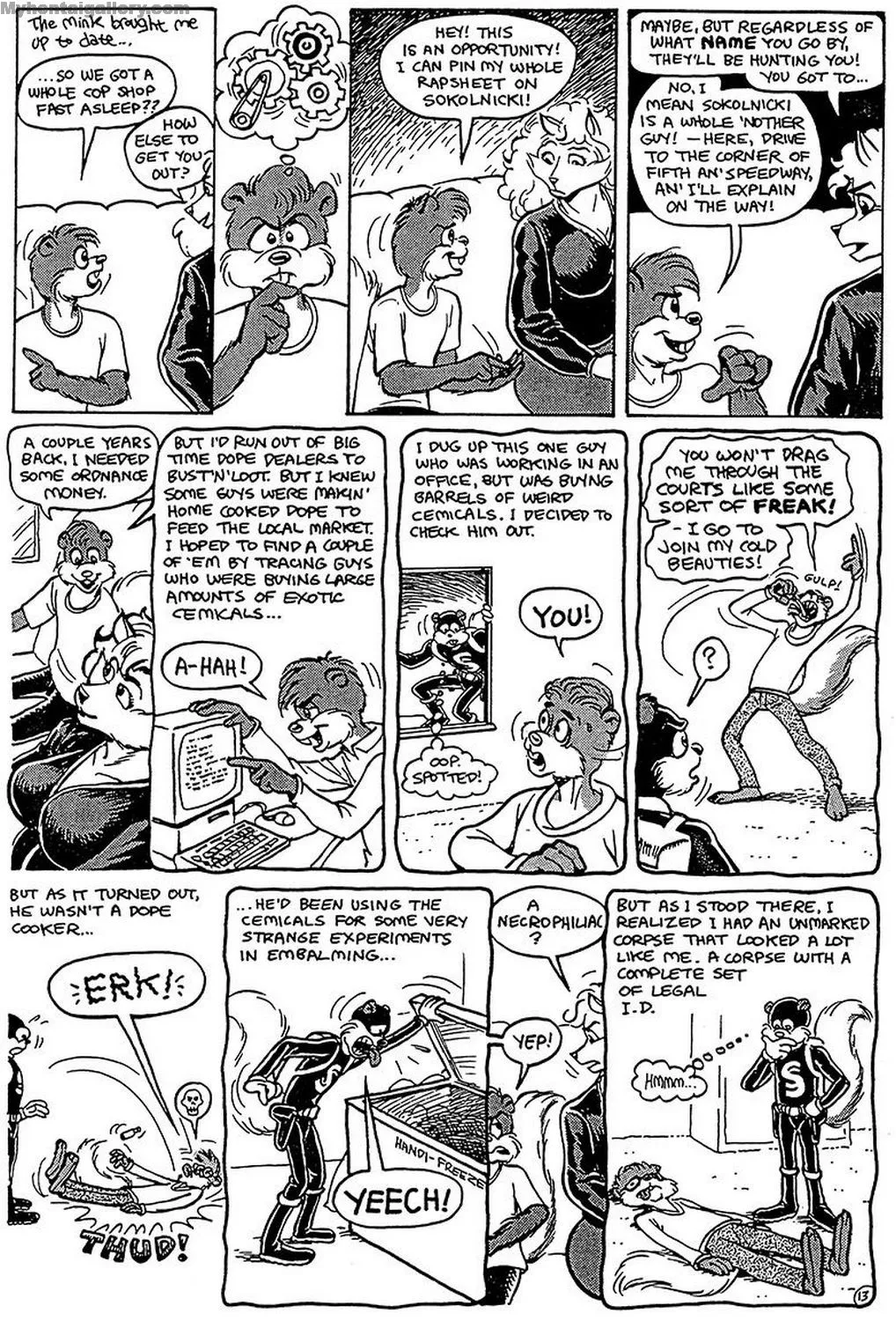 Page 13
