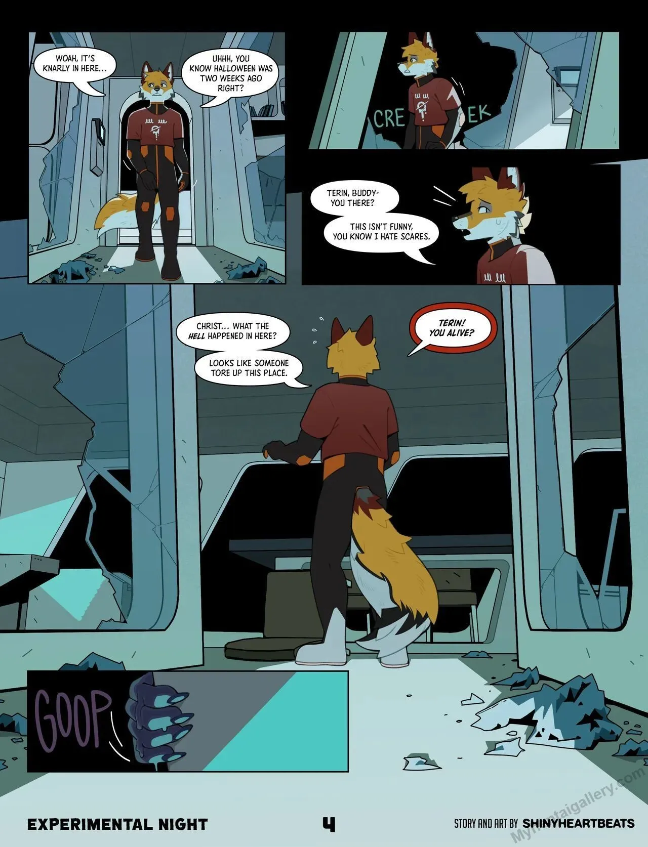 Page 5