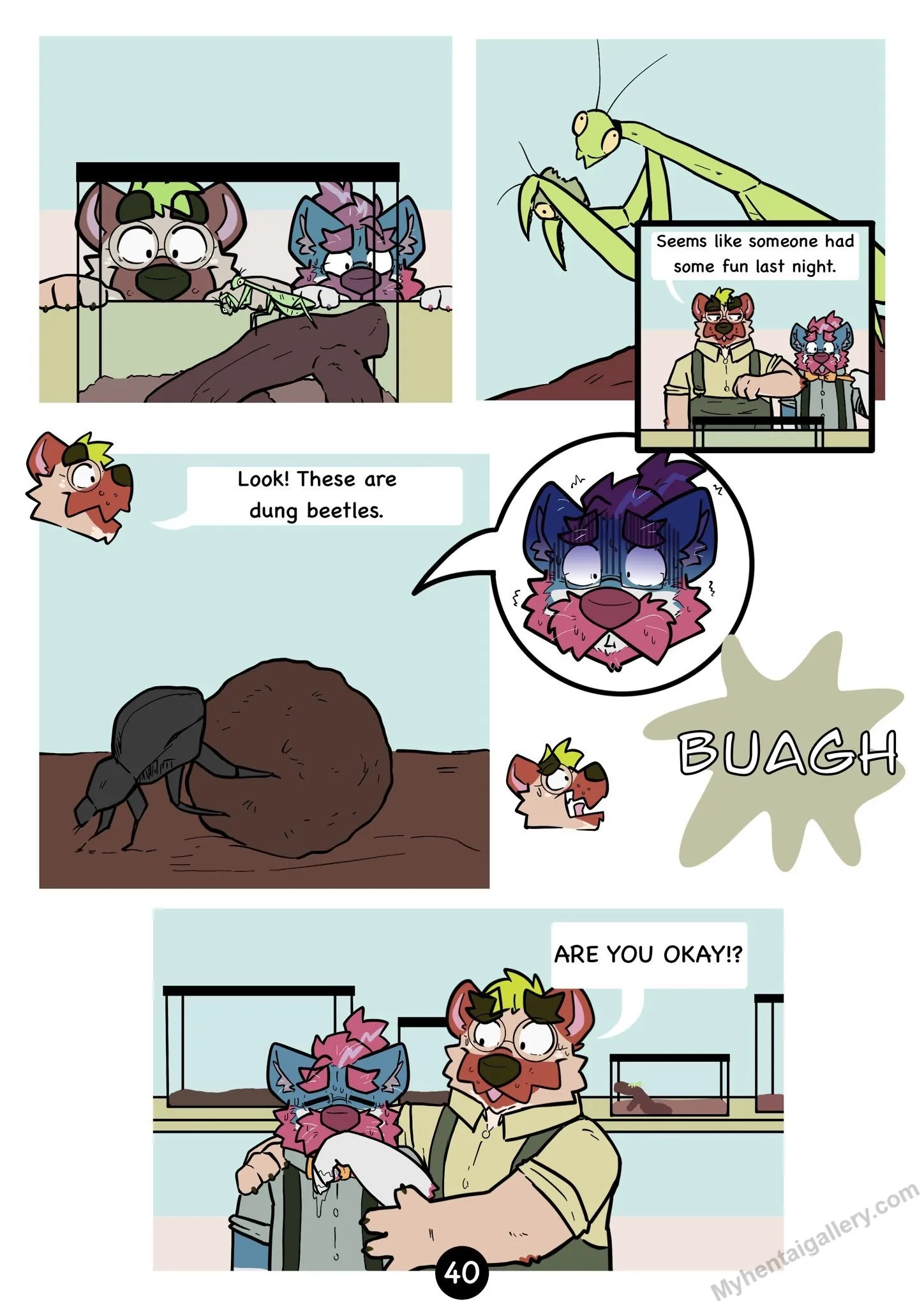 Page 41
