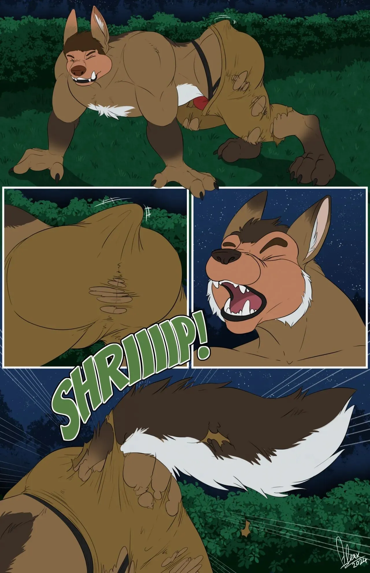 Page 4