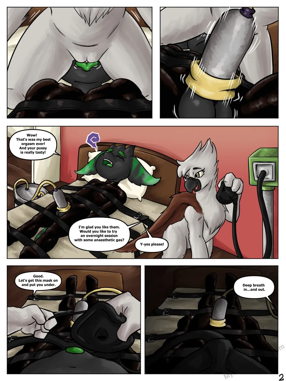Page 2