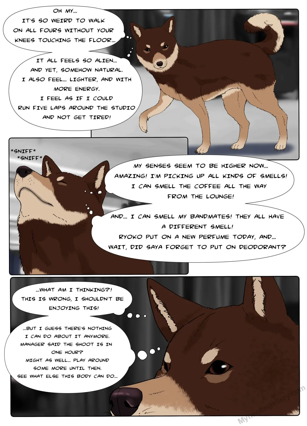 Page 12