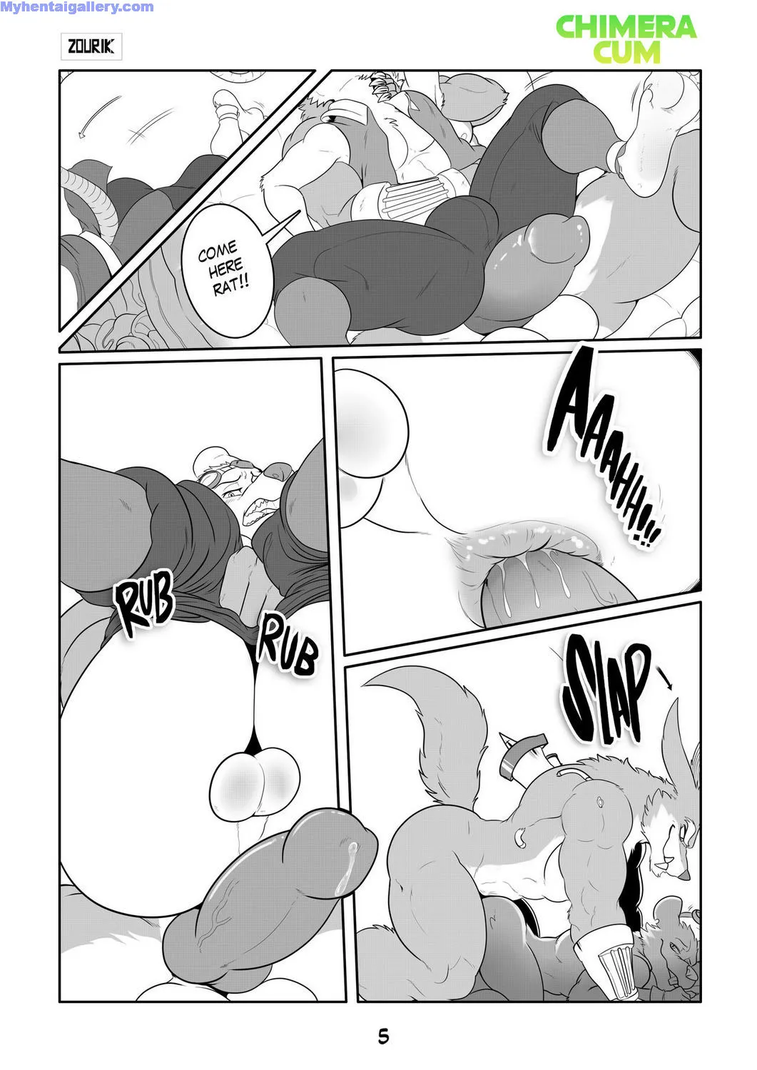Page 5