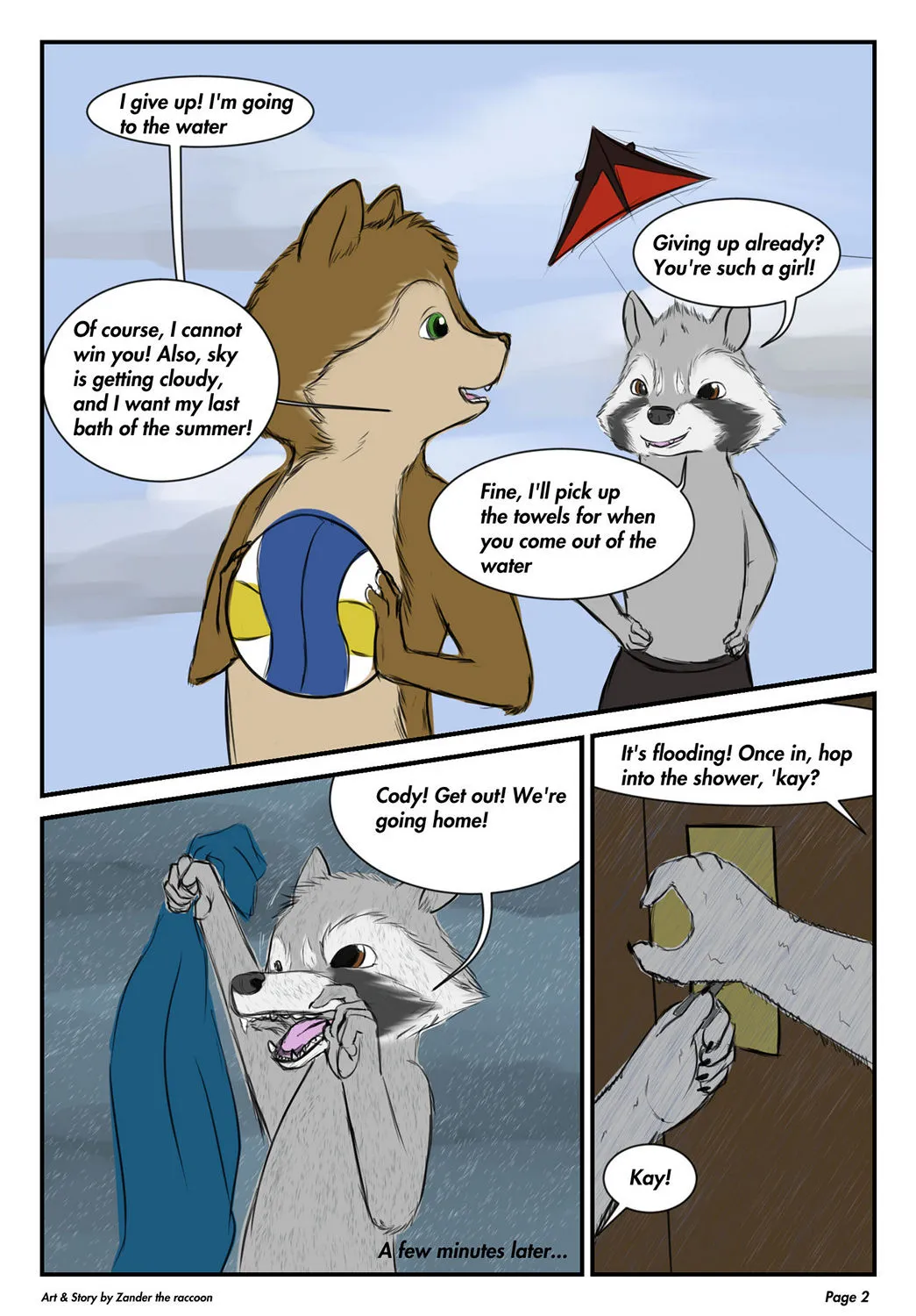 Page 3