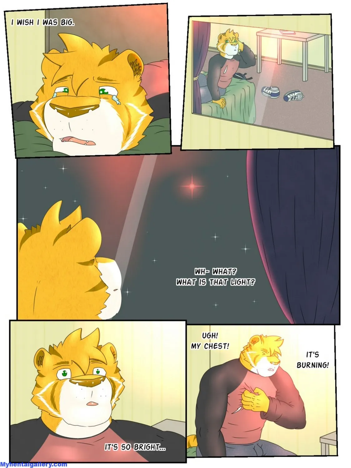 Page 4