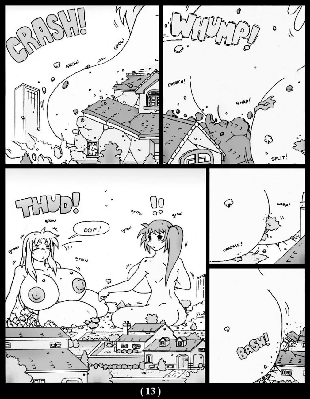 Page 13