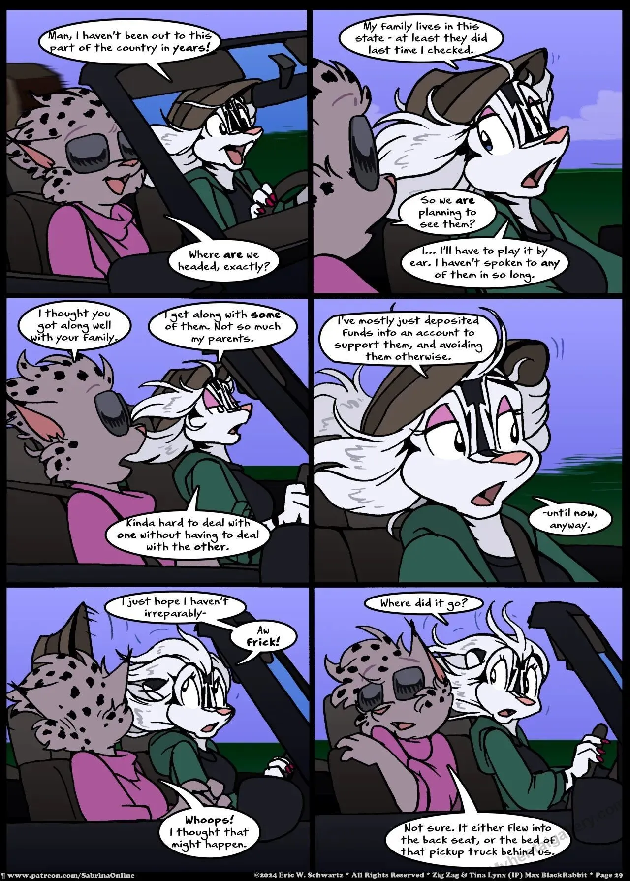 Page 29