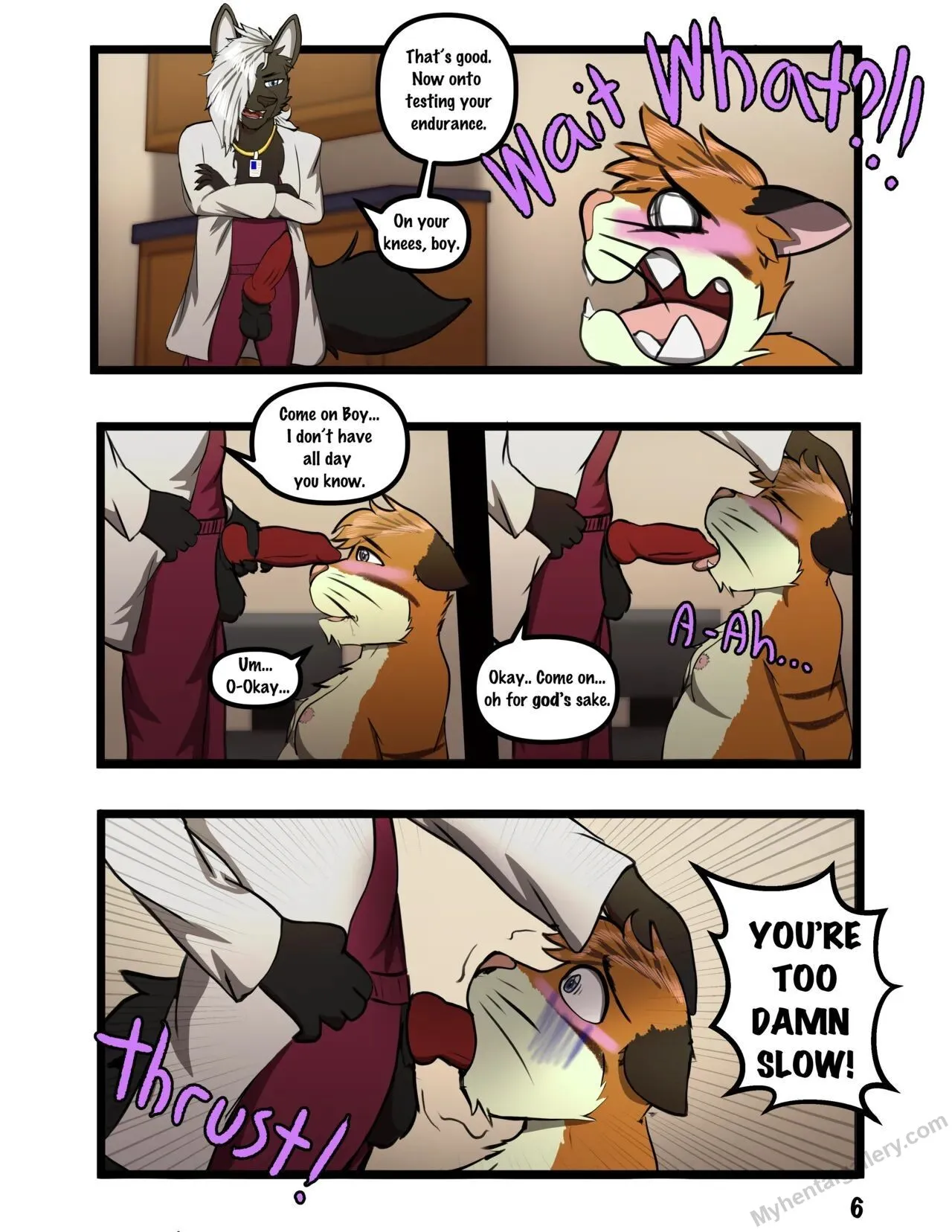 Page 6