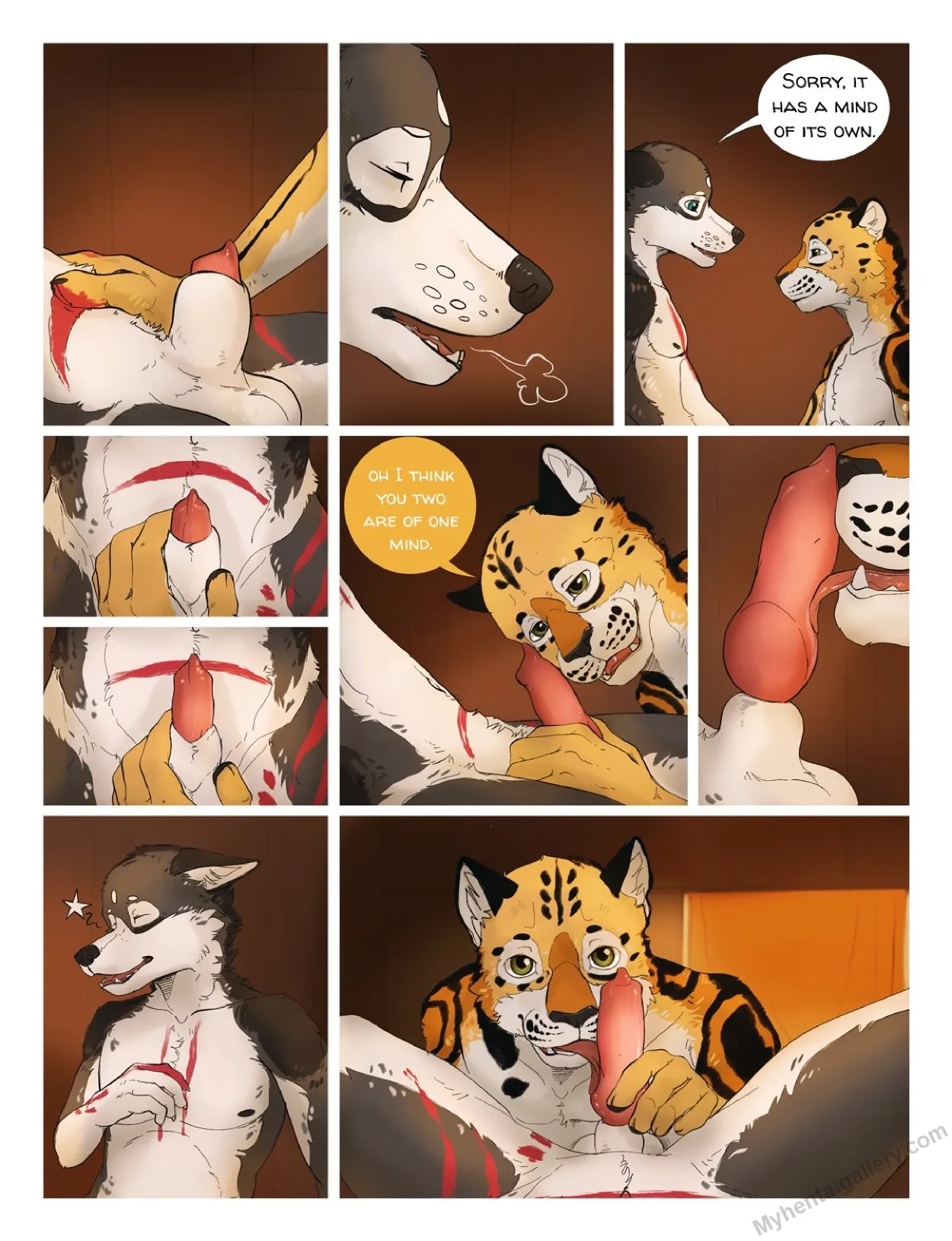 Page 52