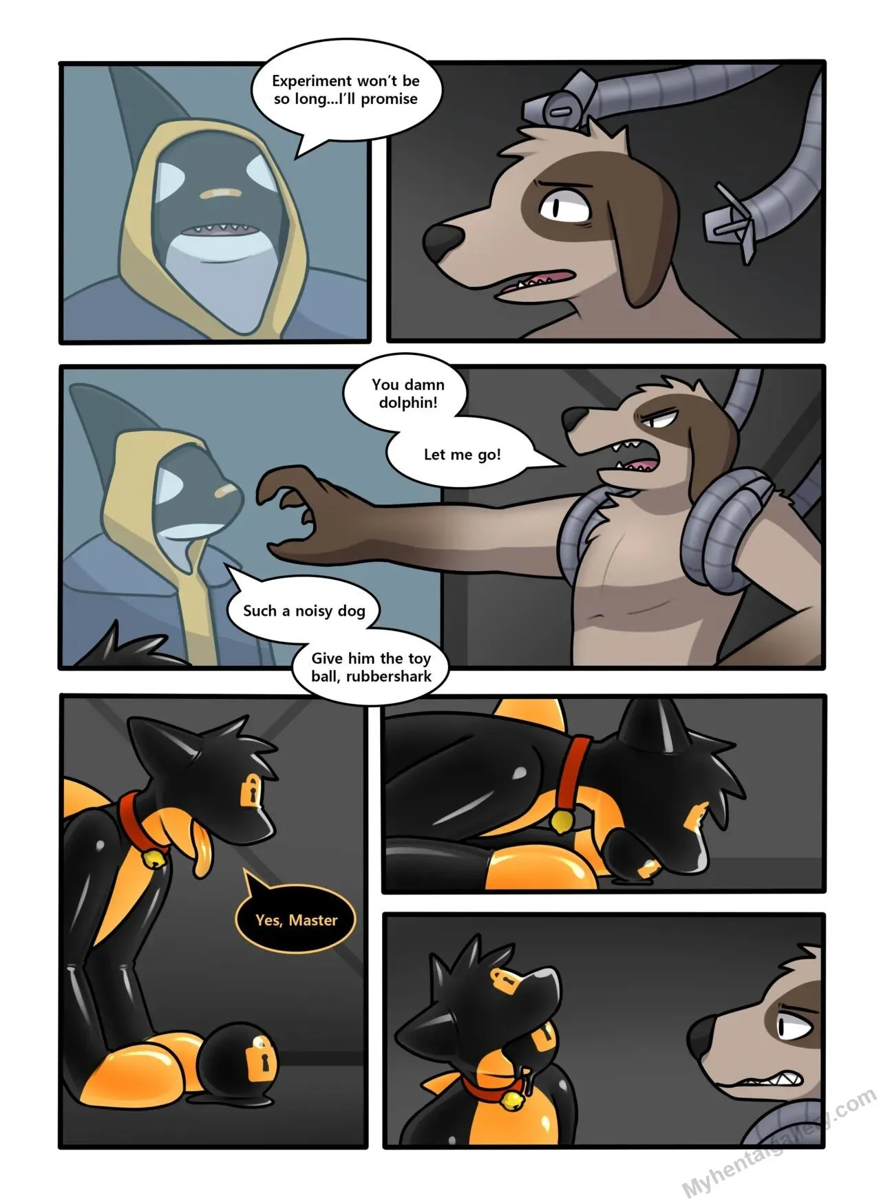 Page 43