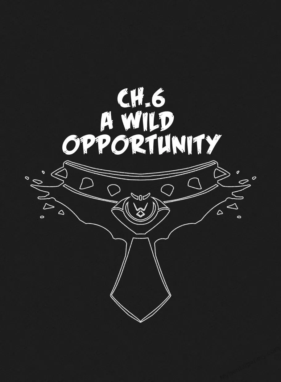 Heartstring Player 6 - A Wild Opportunity porno comics Cover