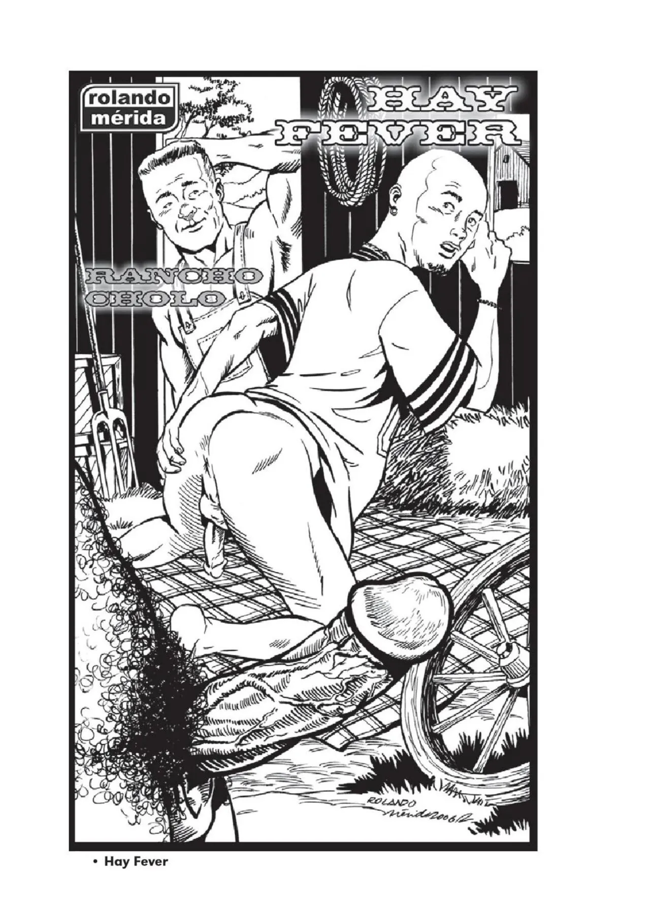 Hay Fever porno comics Cover