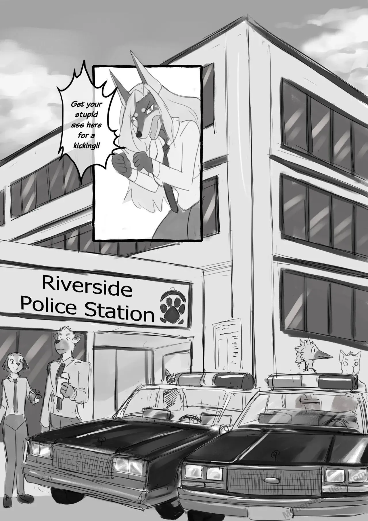 Page 11