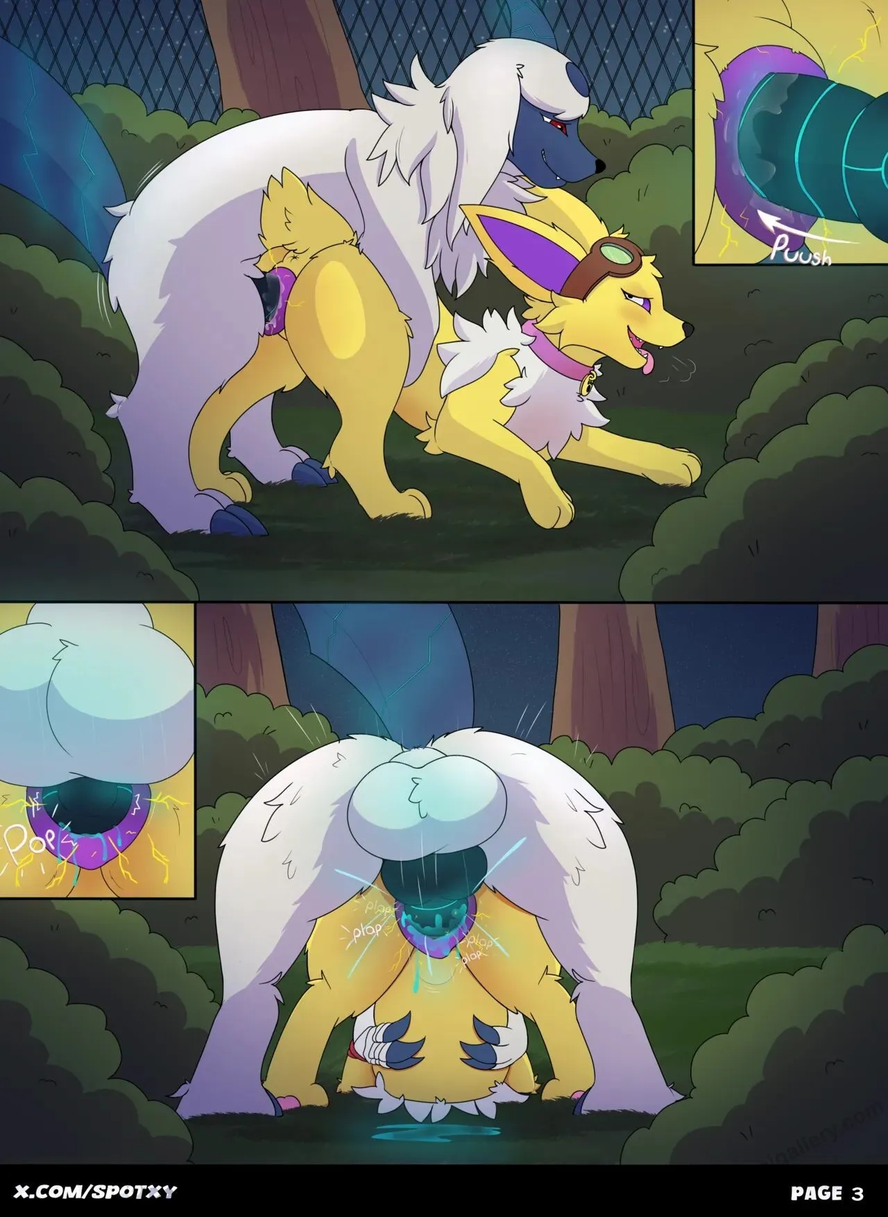 Page 3