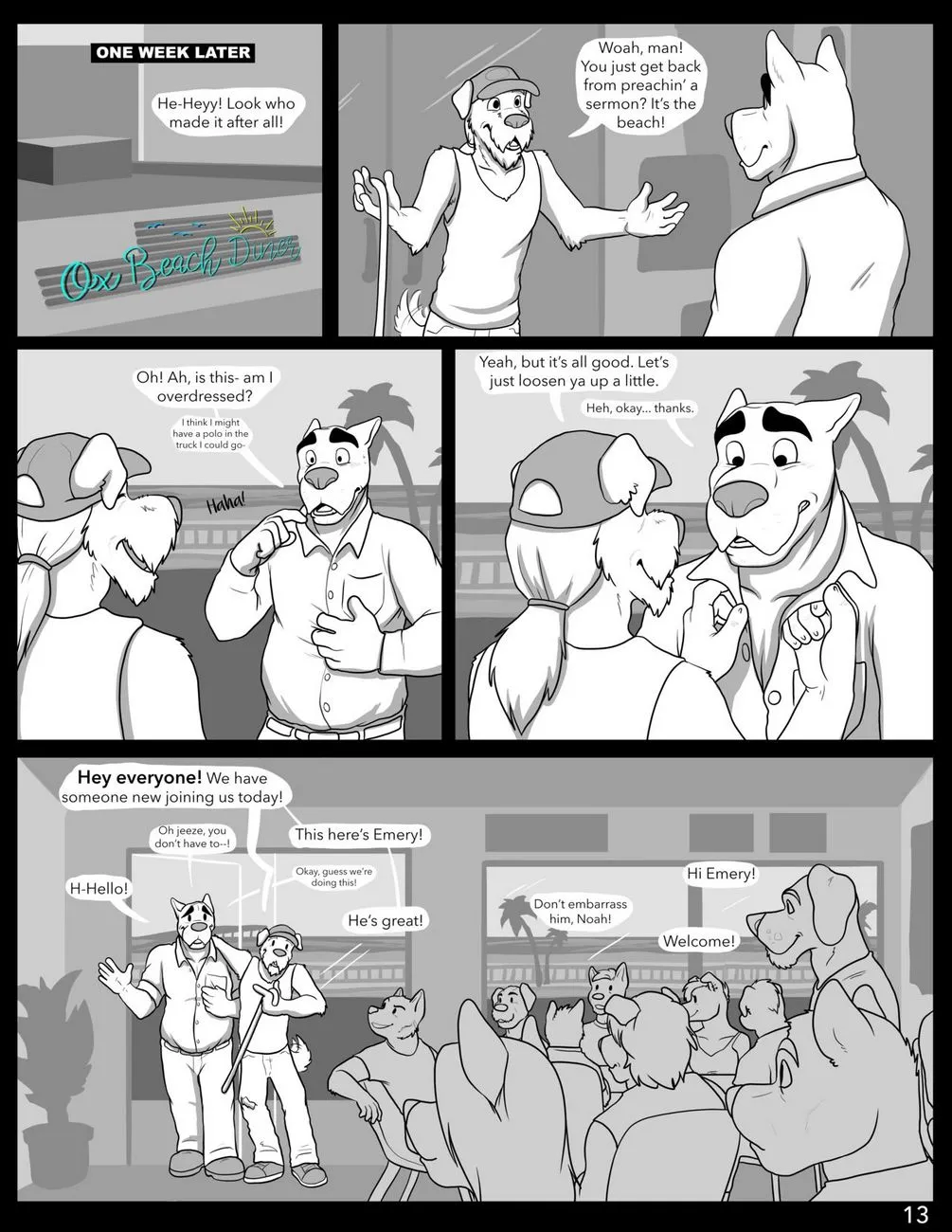 Page 13