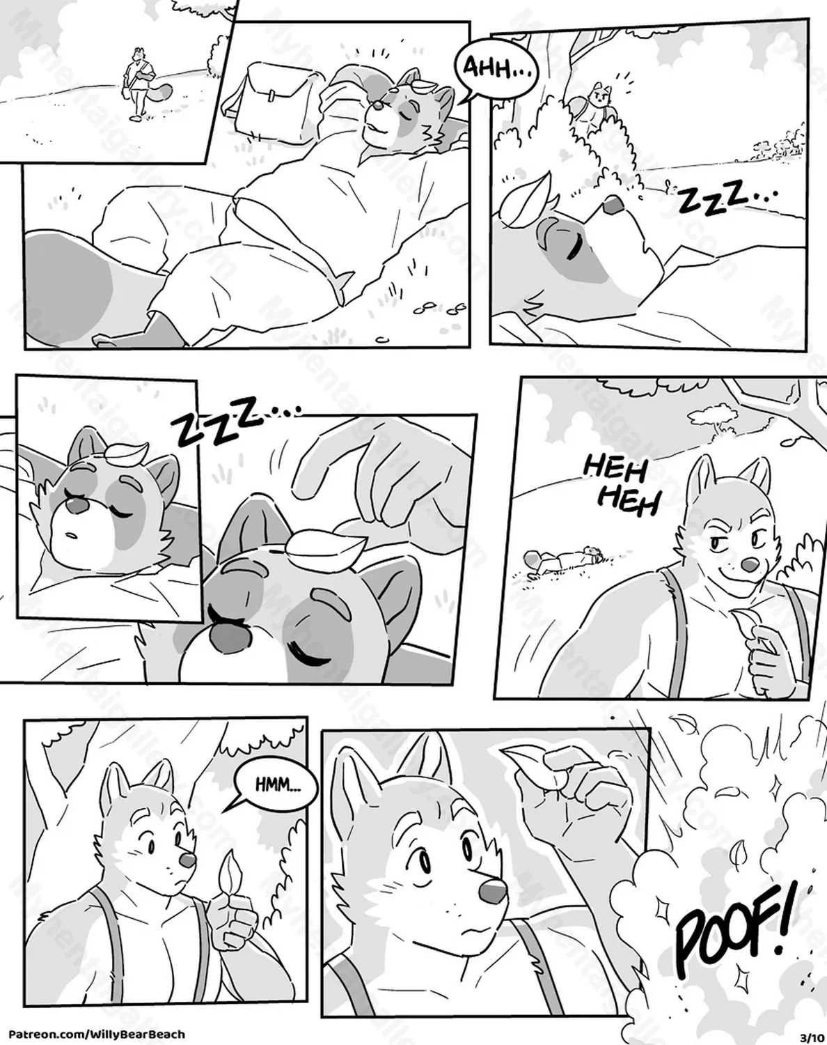 Page 3