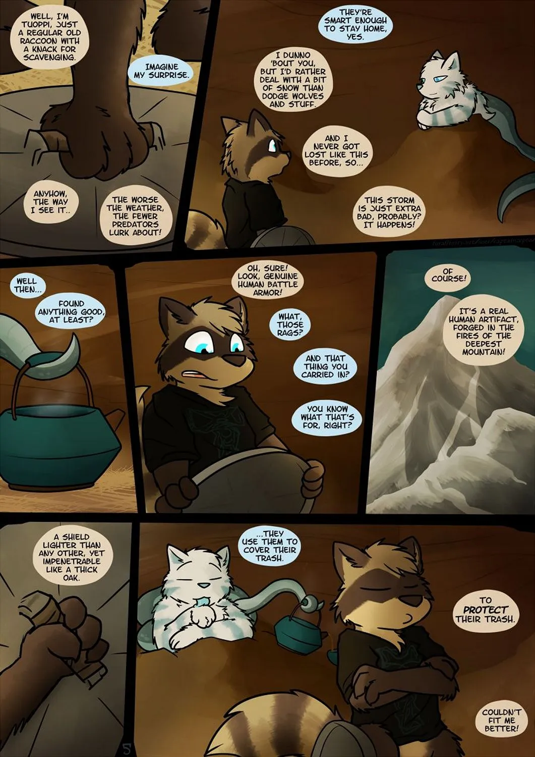 Page 5
