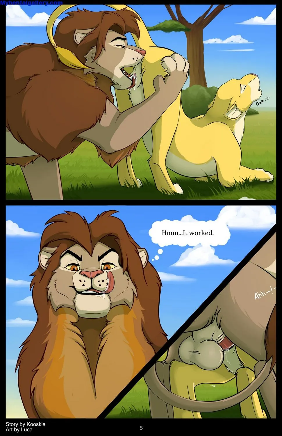Page 5