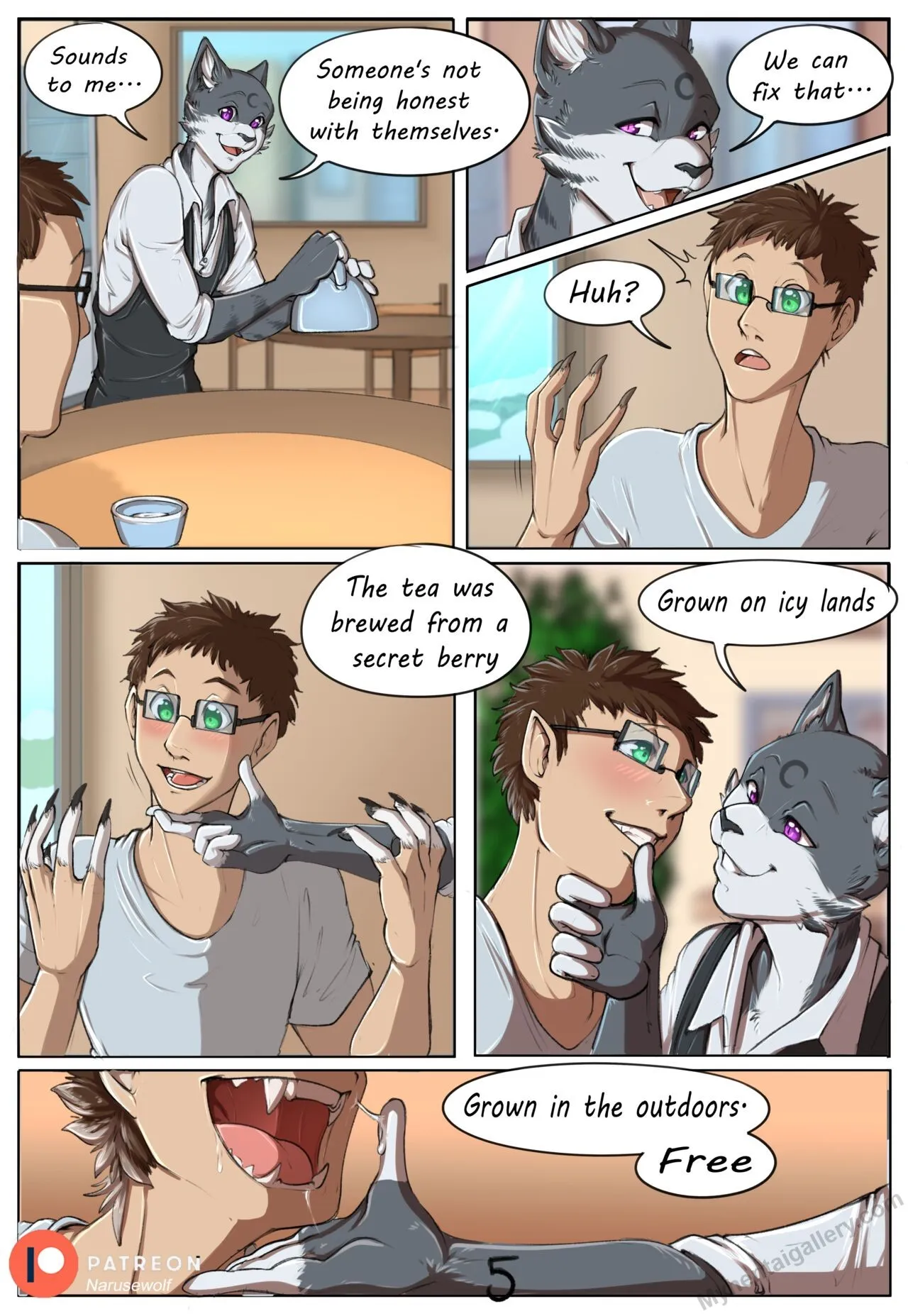 Page 5
