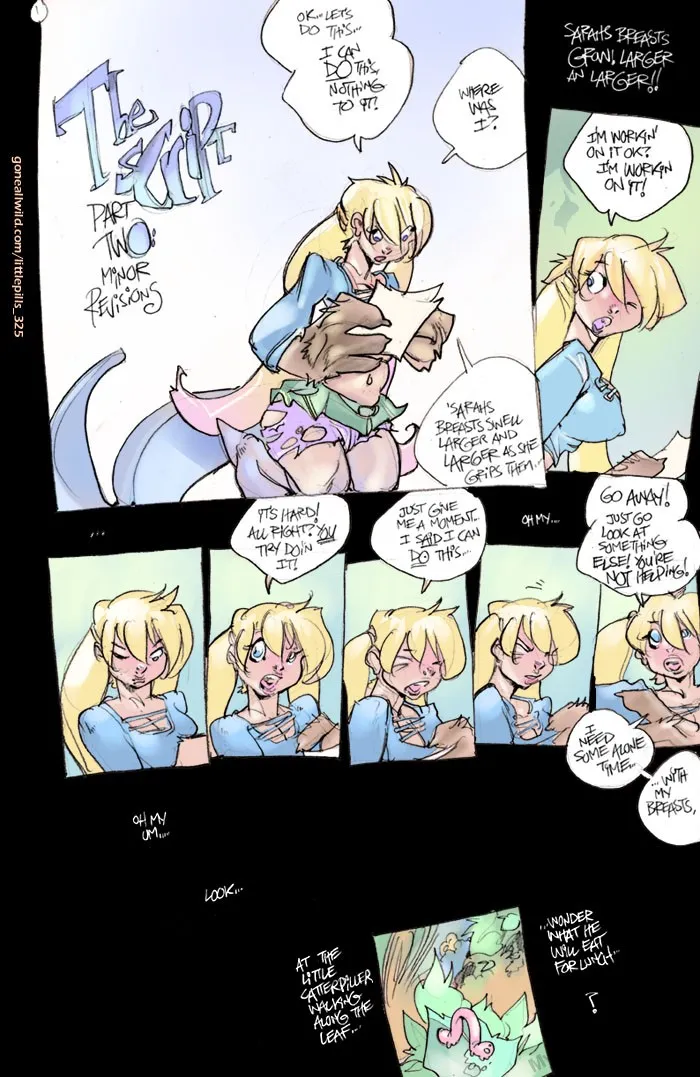 The Script 2 porno comics Cover