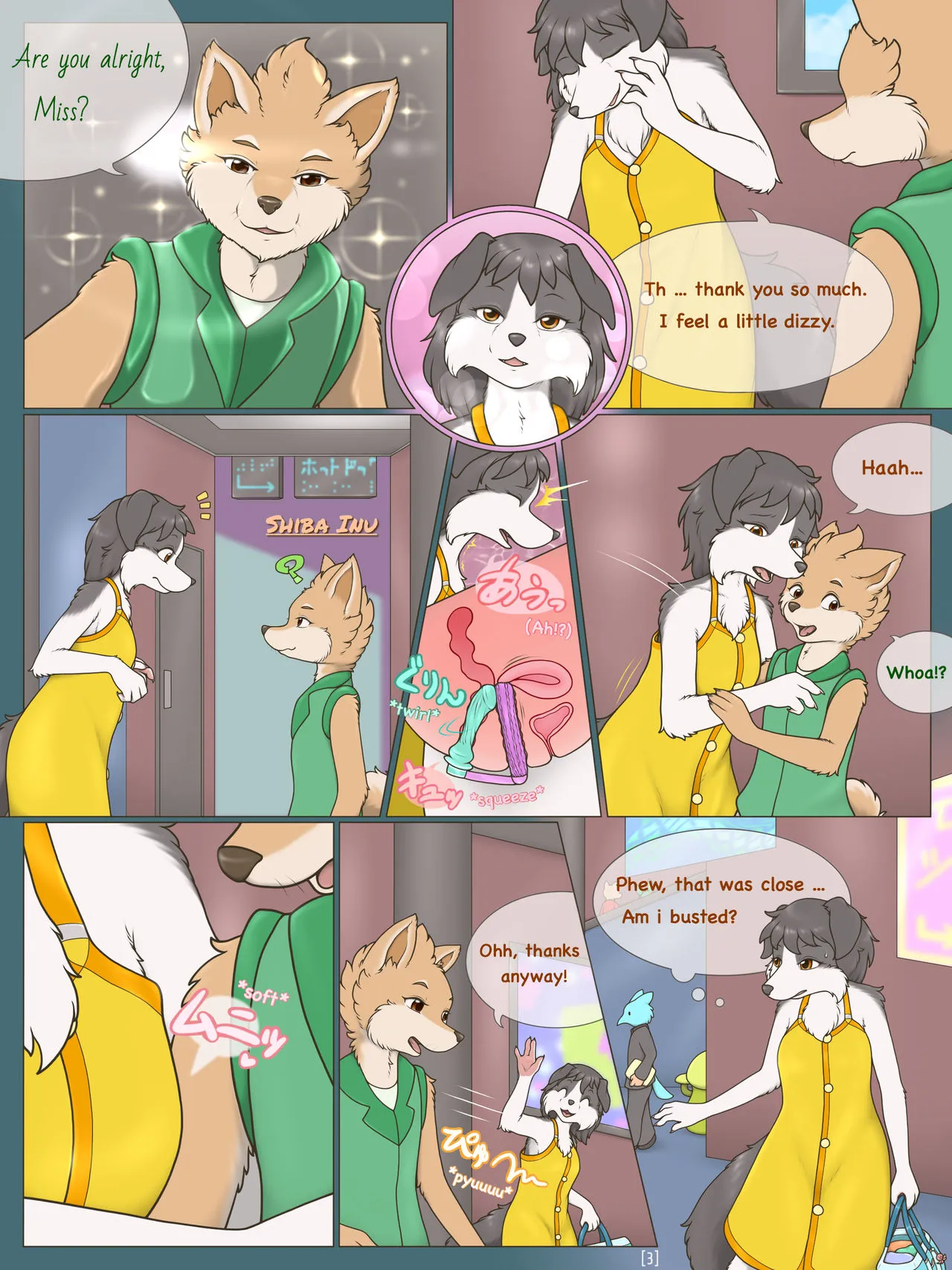 Page 3