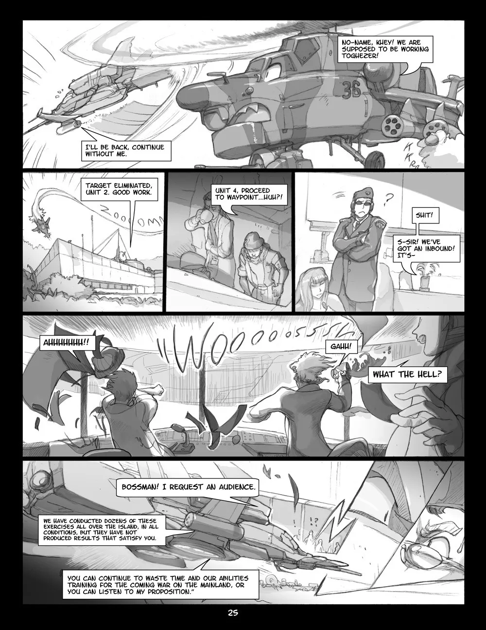 Page 25