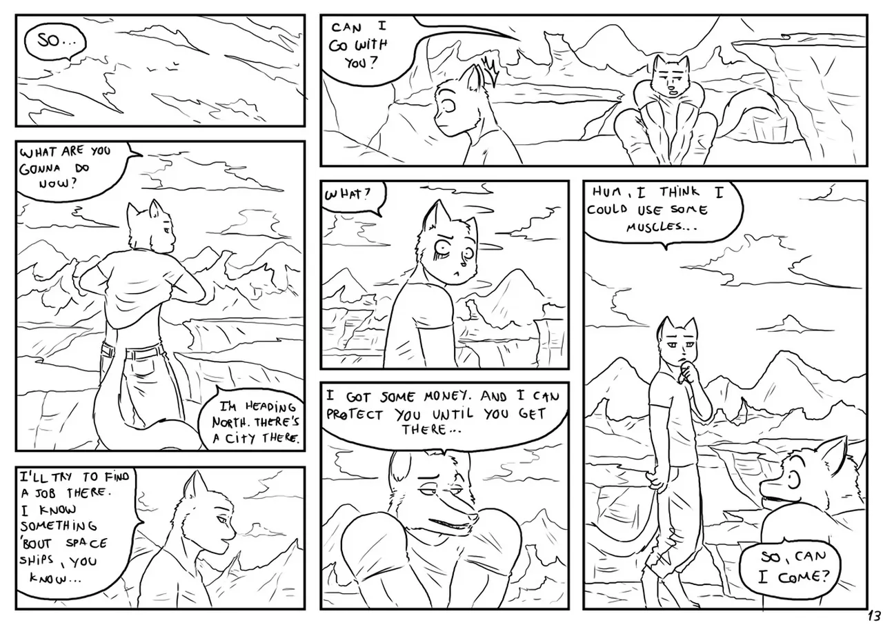 Page 13