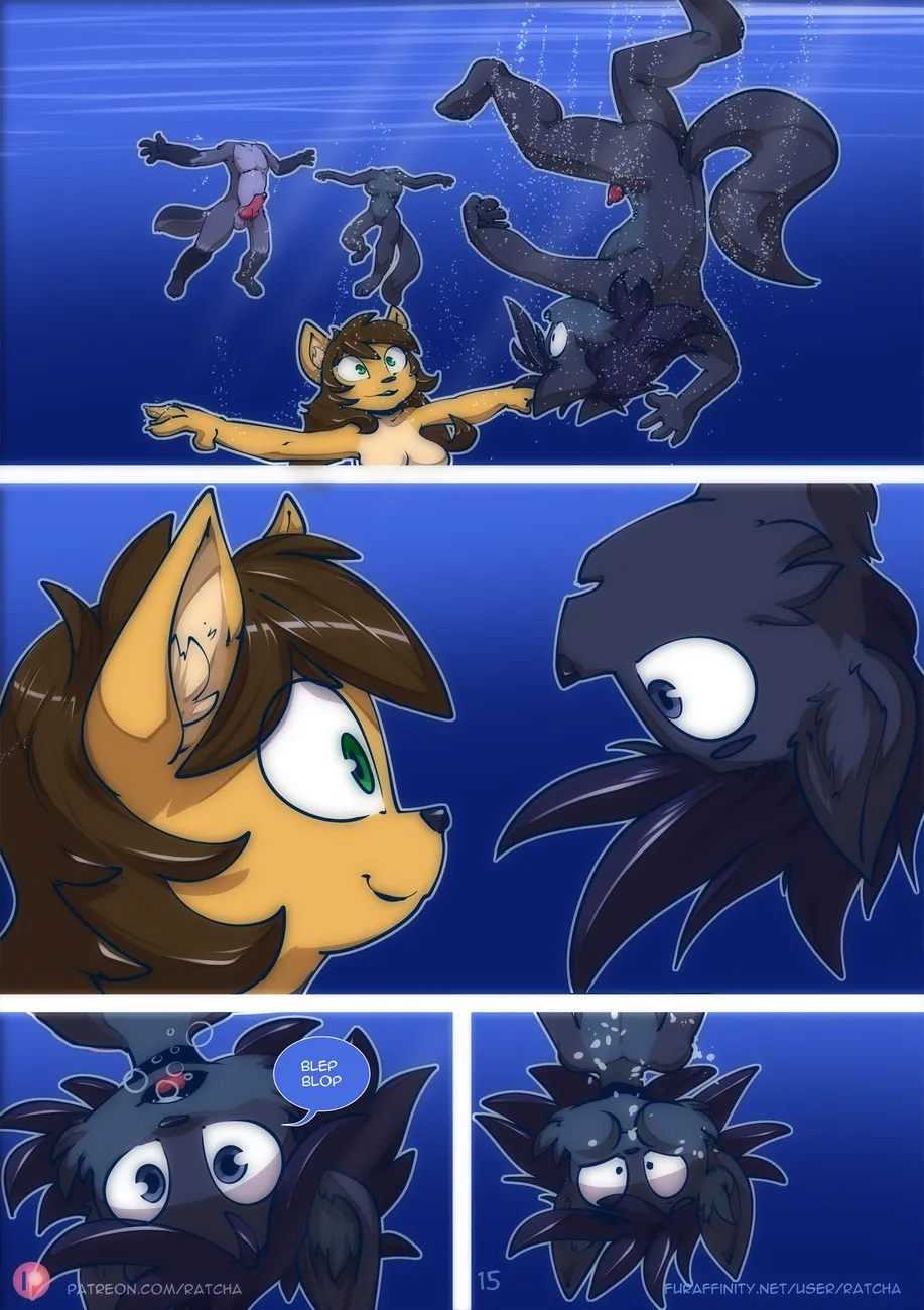 Page 15