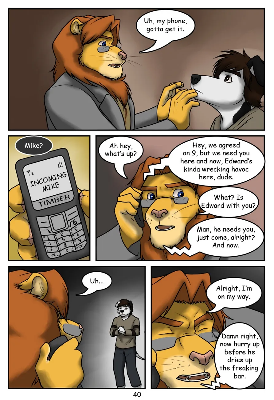 Page 41