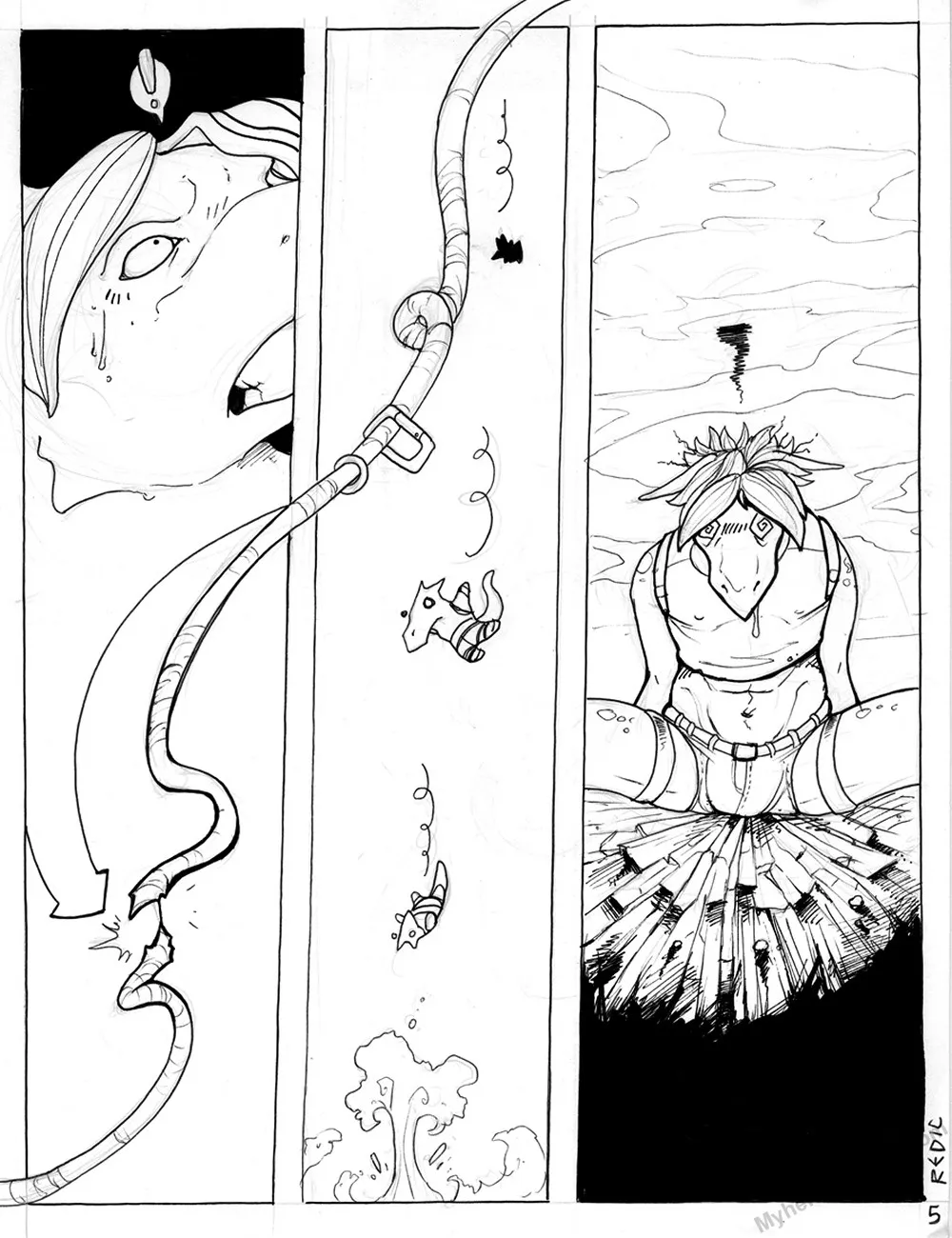 Page 5