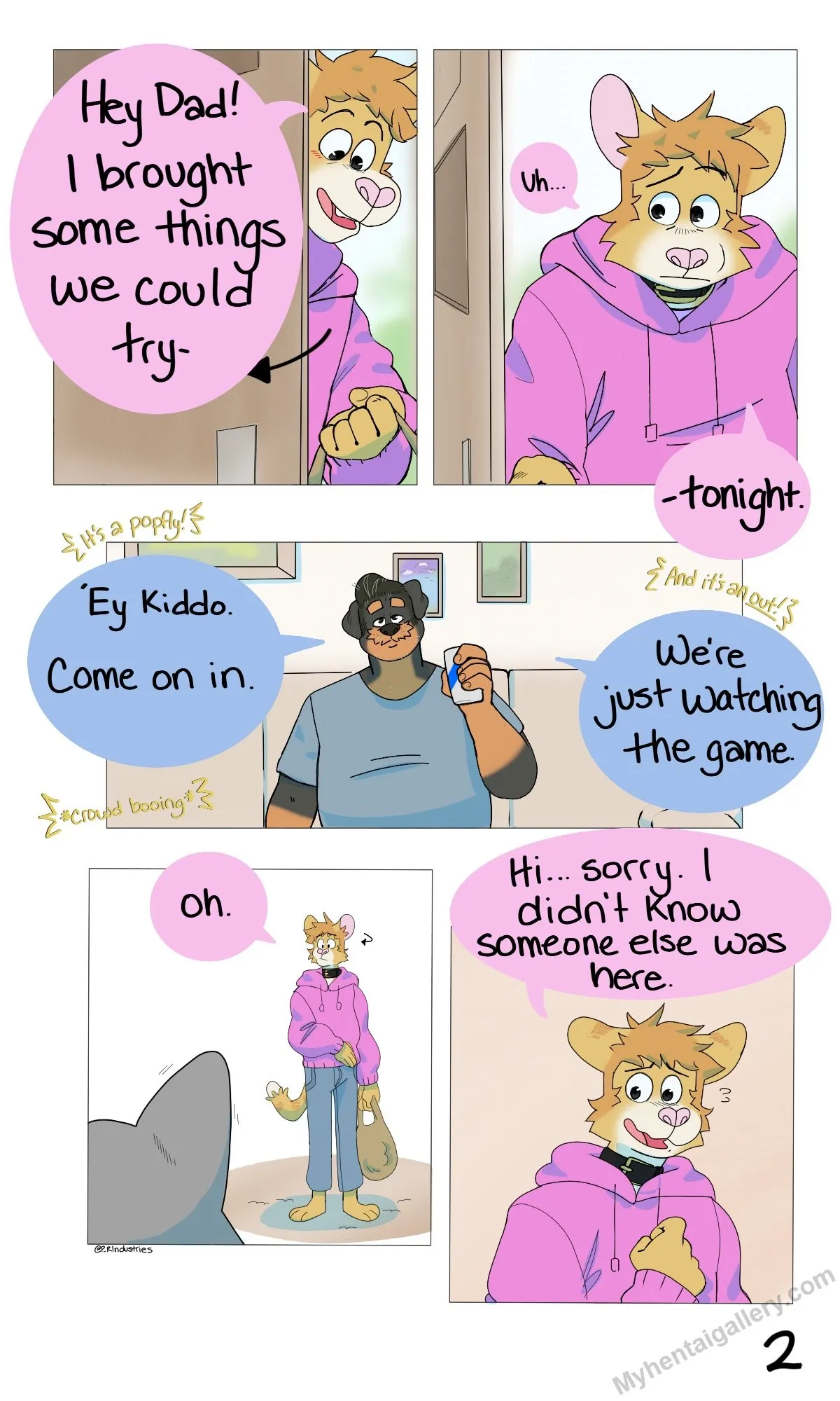Page 3