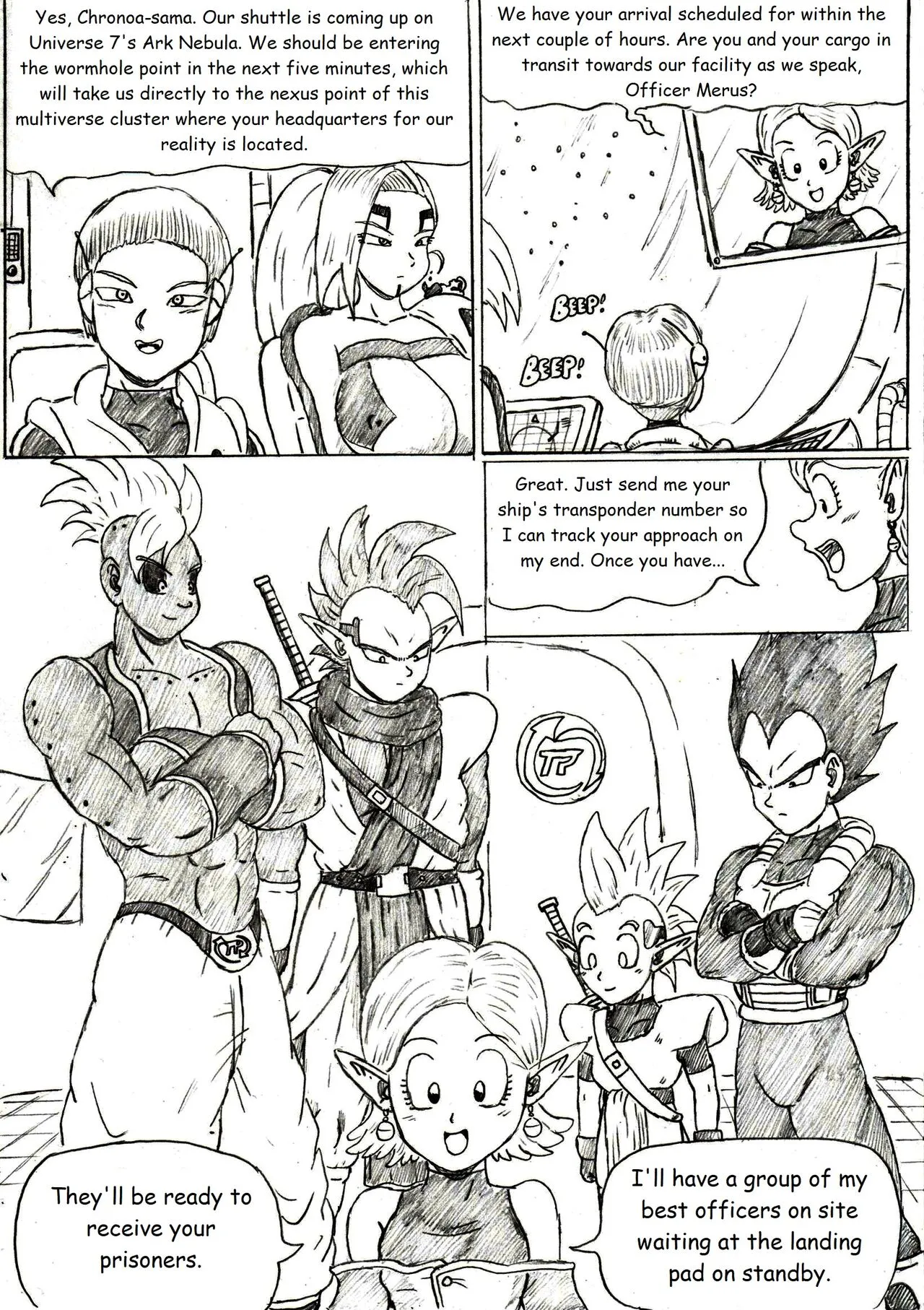 Page 43