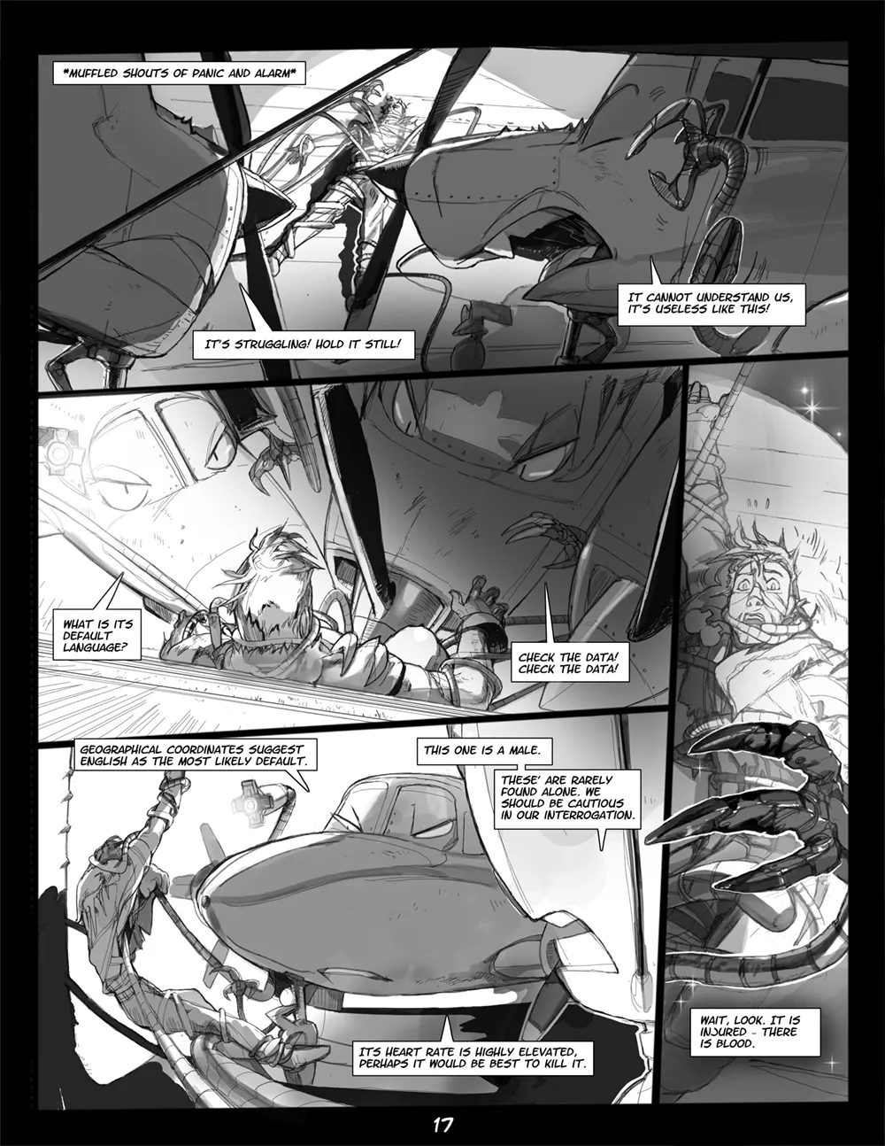 Page 17