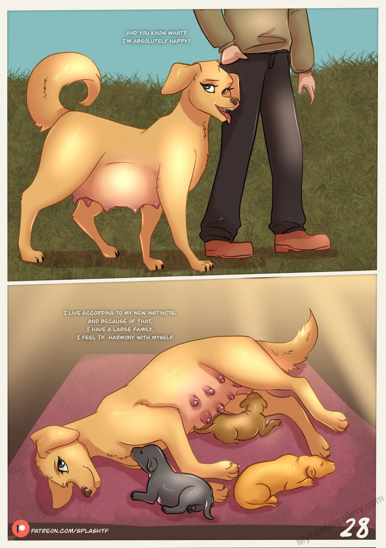 Page 29