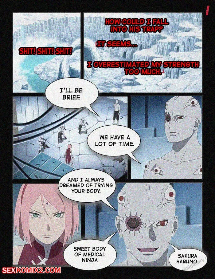The Chronicle Of Sarada 1 porno comics Cover