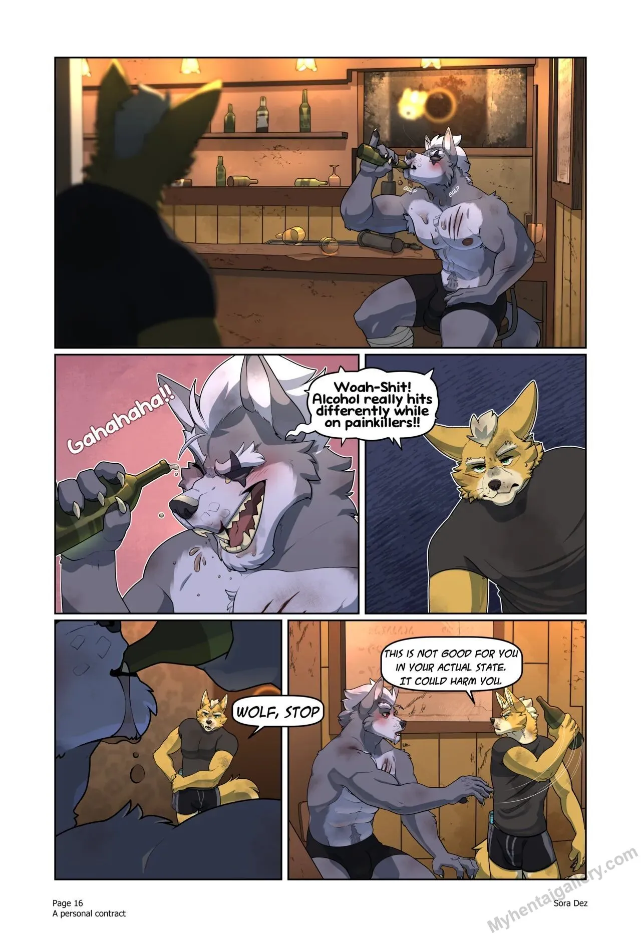 Page 17