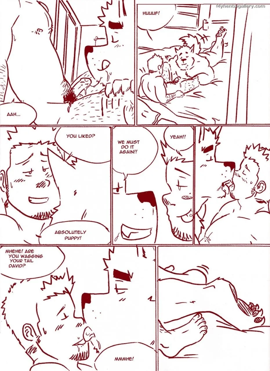 Page 41