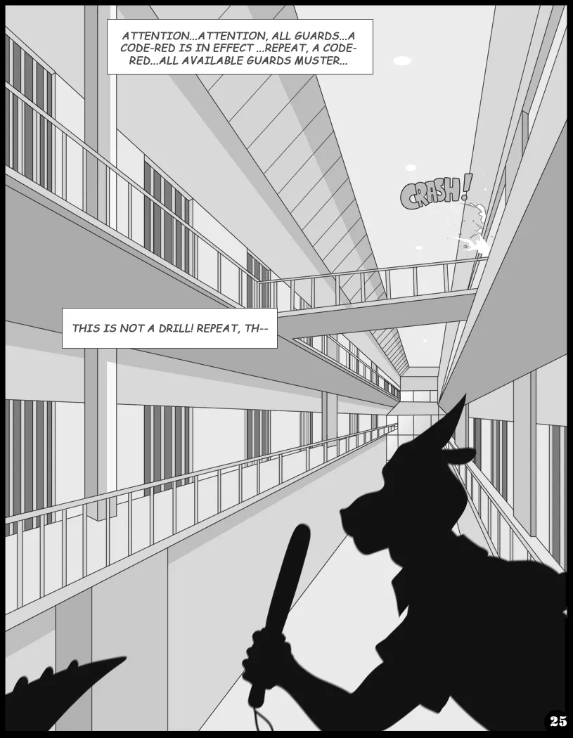 Page 25